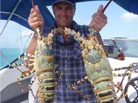 cooktown crays