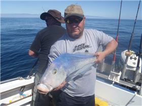 mako stalked the boat