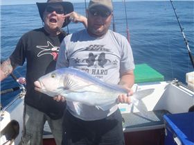 mako stalked the boat