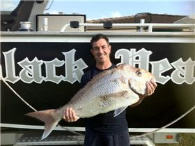 Snapper on the Pearl.