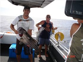 billies first jewie & bob gets his 3rd