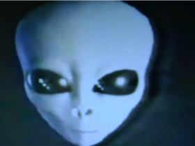 THE BLACKPEARL SKIPPER