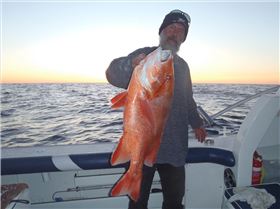 offshore north of fraser island