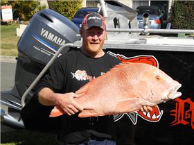 IM HOLDING UP WAZZAS RED