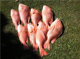 58418 156366187714378 100000229948570 412861 8020994 n