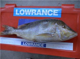 61284 156366931047637 100000229948570 412880 5083663 n