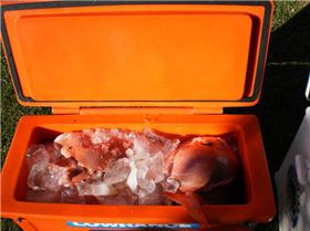 62218 156366307714366 100000229948570 412865 1079509 n