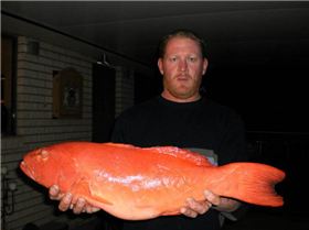 62548 156366024381061 100000229948570 412860 5570526 n