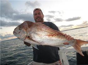 wazza's morning snapper in AMM