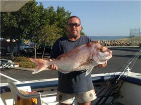 10.6 kg snapper