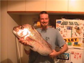 NEVILS SNAPPER  COCKBURN