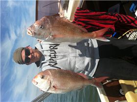 The season is on....