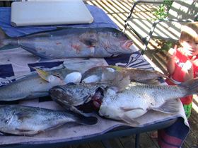 jett likes the catch