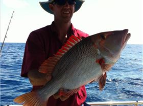 Bretts first reef fish.