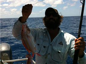 Nice Hussar two at a time