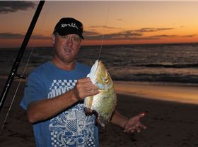 my ass felt like this last night