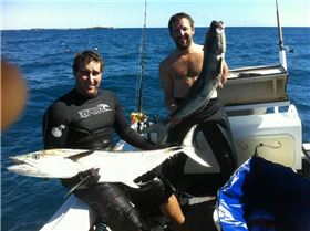 Speared Mac n C Cobs