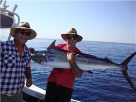 Another Dampier Marlin