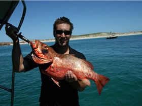 Speared Monties Jack