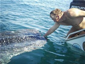 Soppy's mate came to visit