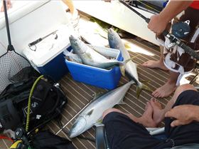 good day off mandurah