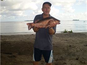 Another Komoran River Mangrove Jack