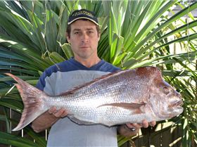 The Magnificent Moreton Bay