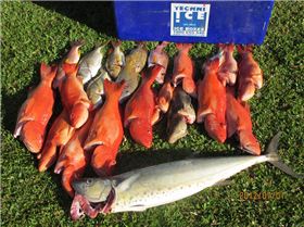 Threading the needle