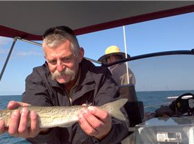 outback al in action