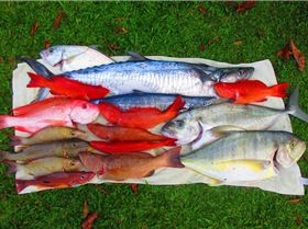 April fools day 2013