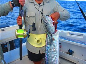 April fools day 2013