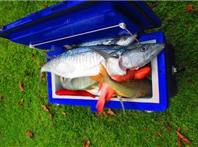 April fools day 2013