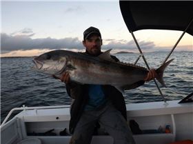 Another Shallow Water Sambo caught off the coast of Esperance