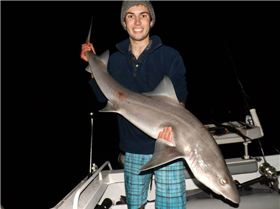 Night fishing 17kg Gummy