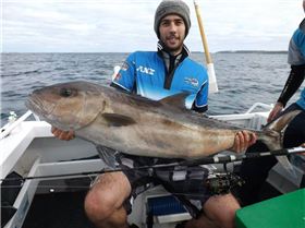 25kg Sambo using Samaki Vanquish Jig rod and Penn Torque