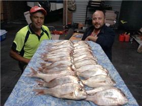 2013-04-10 22.18.46 1