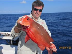 Mixed bag of goodies