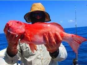 Mixed bag of goodies