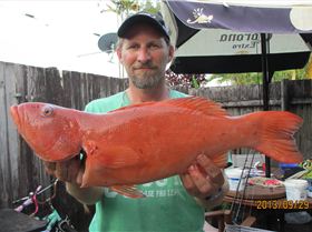 Mixed bag of goodies