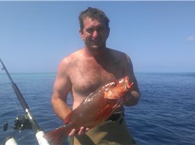 Mangrove Jack Speared