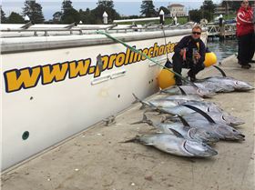 Proline Fishing Charters