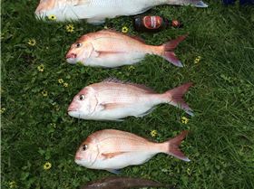 Thats getting bigger