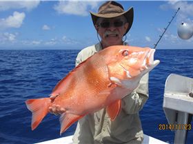 Reef Fin Closure can be hard