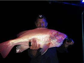 Red is a great colour