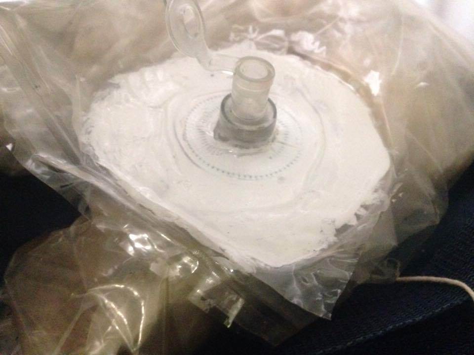 14483545 10157401430310005 1880251660 n