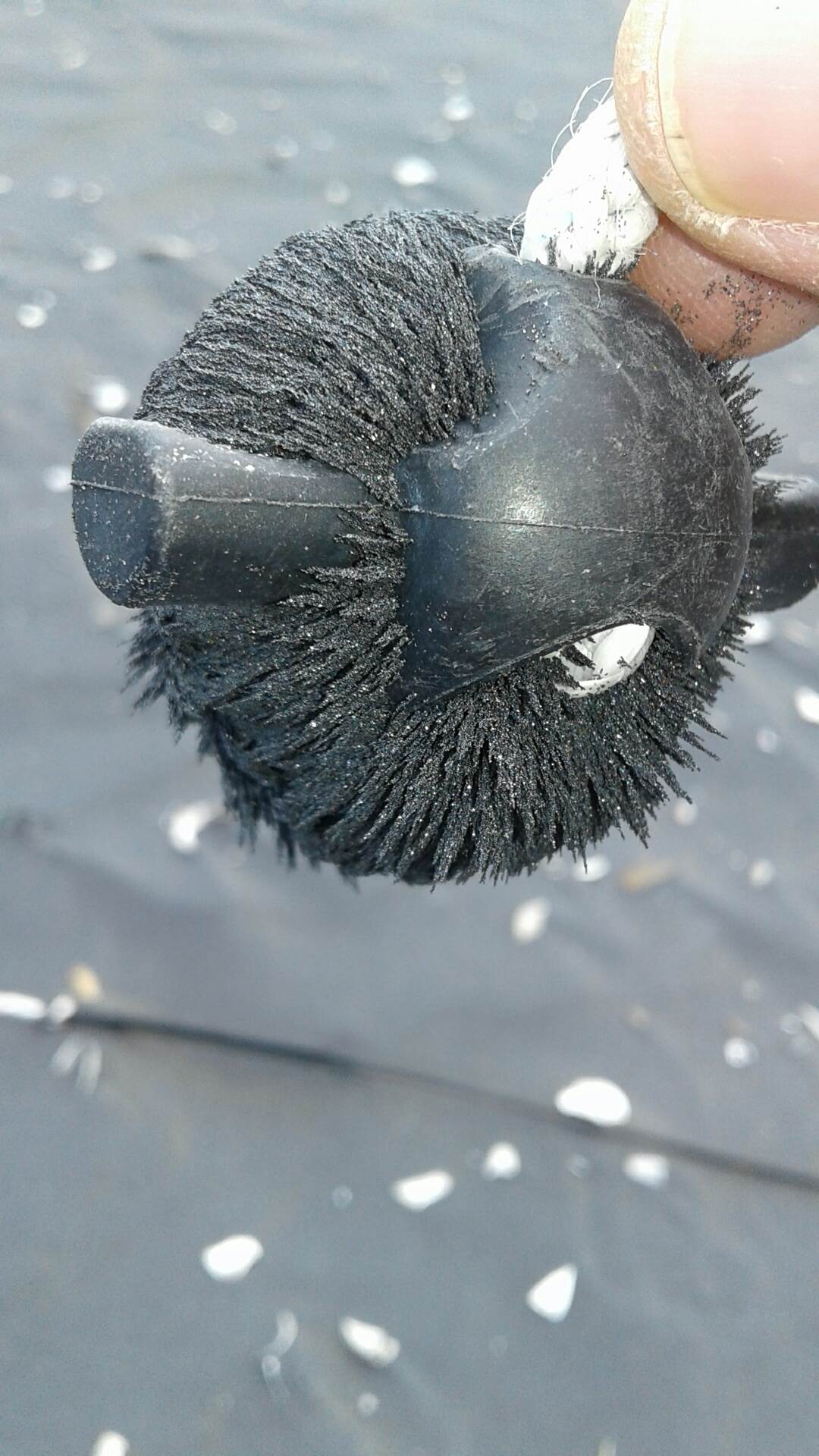 20161102 154002 resized