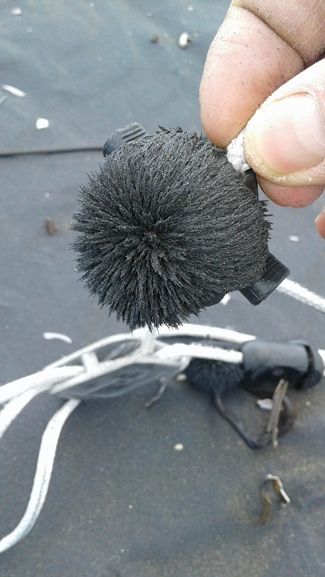 20161102 154011 resized