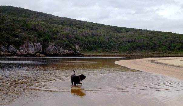 10400588 21426579796 7508 n