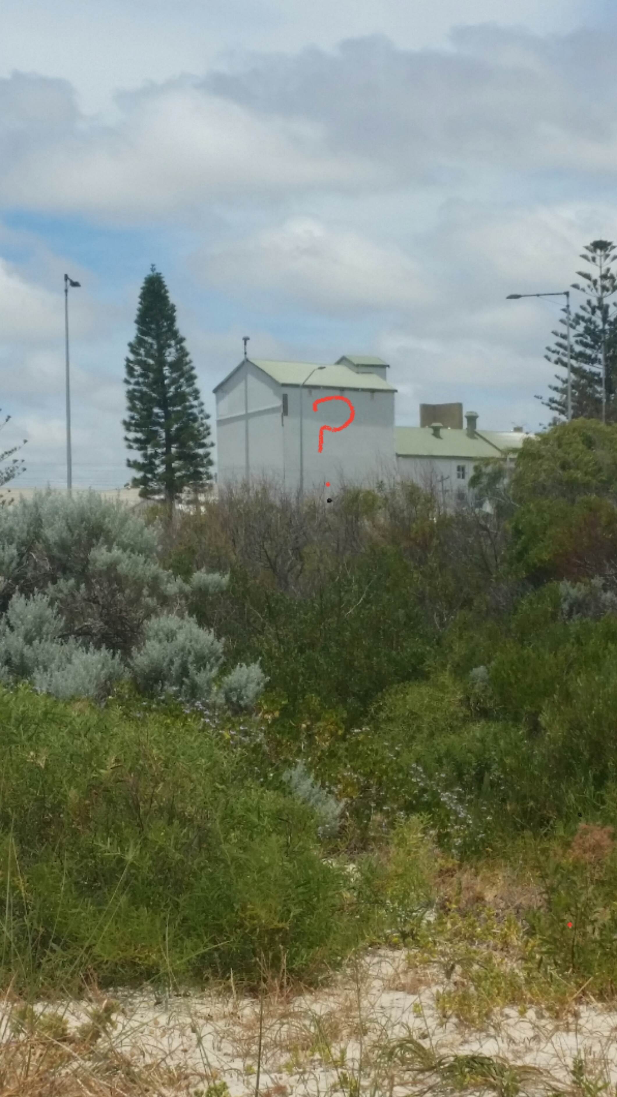 Just head for the Dingo....