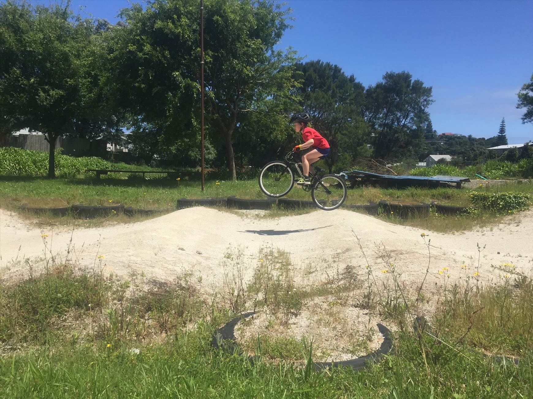 15584980 1264332556974452 8762853847432977120 o